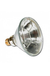 Philips Par 38 24v 120w E27 Halojen Lamba - PHILIPS
