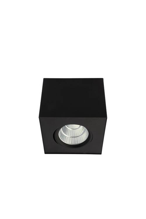Pelsan Lora Sıva Üstü 20W 4000K IP20 Cob Led Spot Armatür - 110548 - 1