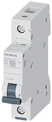 Siemens 10A B Tipi Klasik Otomatik Sigorta 5SL6110-6YA - SIEMENS